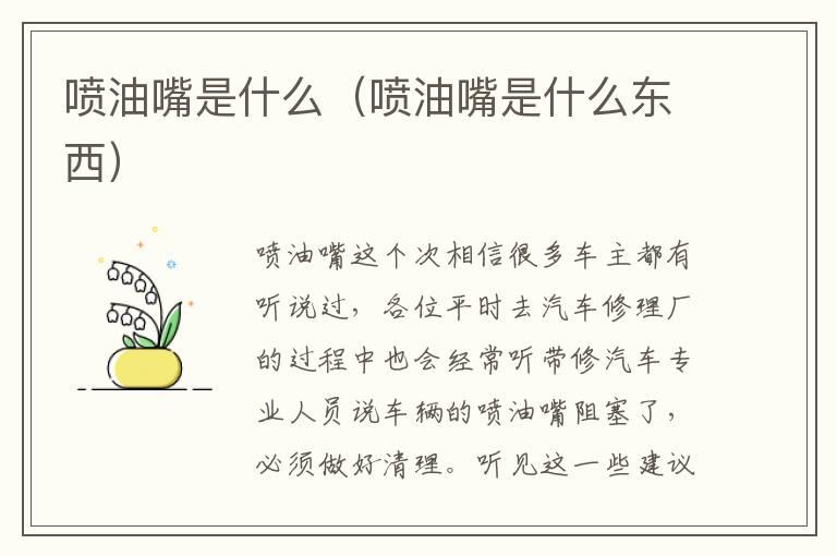 喷油嘴是什么（喷油嘴是什么东西）