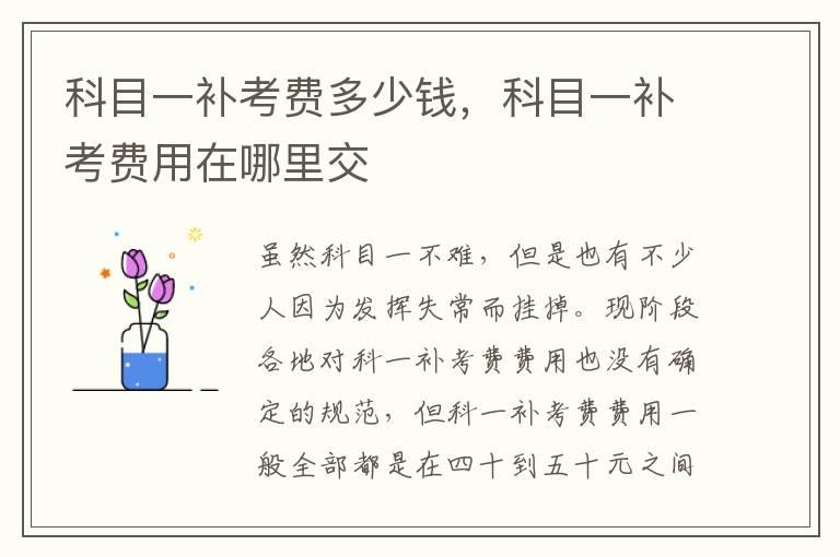 科目一补考费多少钱，科目一补考费用在哪里交