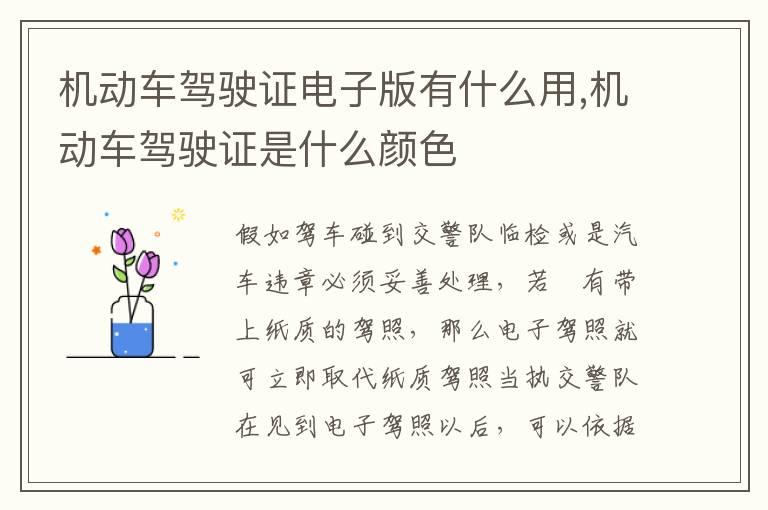 机动车驾驶证电子版有什么用,机动车驾驶证是什么颜色