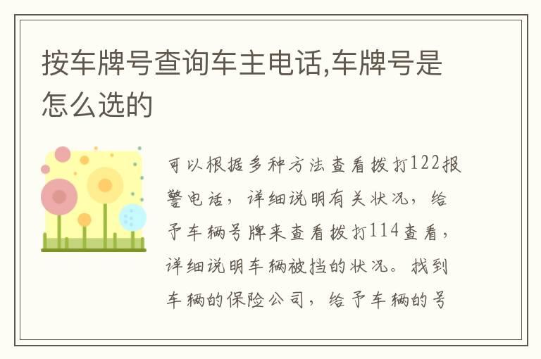 按车牌号查询车主电话,车牌号是怎么选的