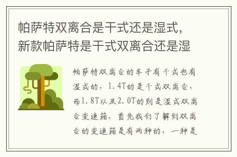 帕萨特双离合是干式还是湿式，新款帕萨特是干式双离合还是湿式双离合