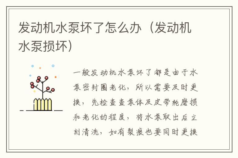 发动机水泵坏了怎么办（发动机水泵损坏）
