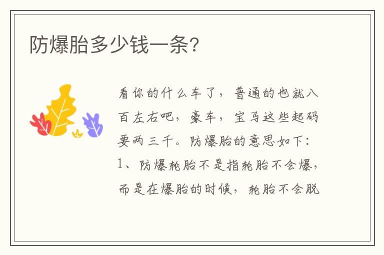 防爆胎多少钱一条?