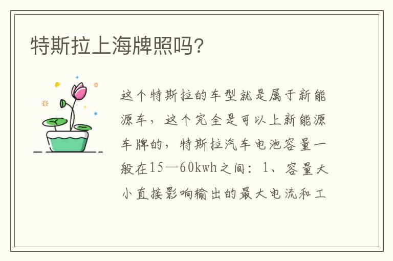 特斯拉上海牌照吗?