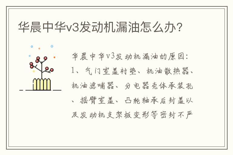 华晨中华v3发动机漏油怎么办?