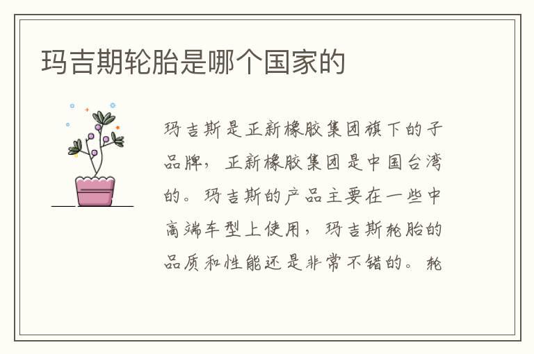 玛吉期轮胎是哪个国家的