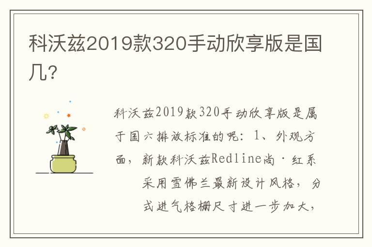 科沃兹2019款320手动欣享版是国几?