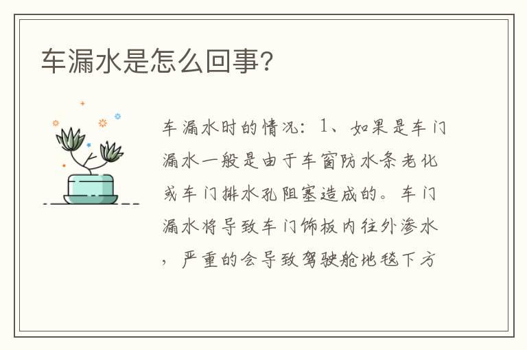 车漏水是怎么回事?