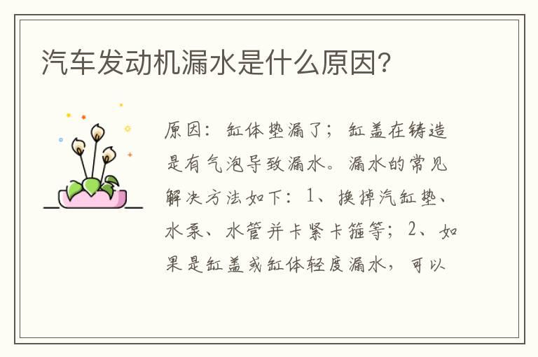 汽车发动机漏水是什么原因?