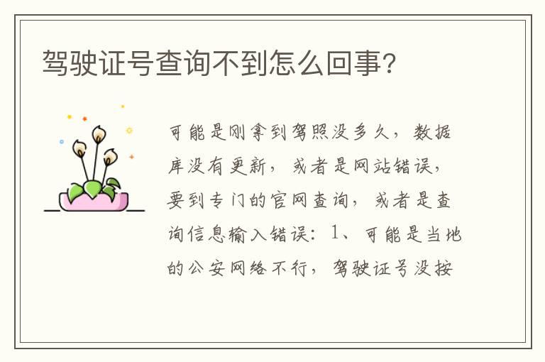 驾驶证号查询不到怎么回事?