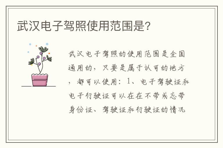 武汉电子驾照使用范围是?
