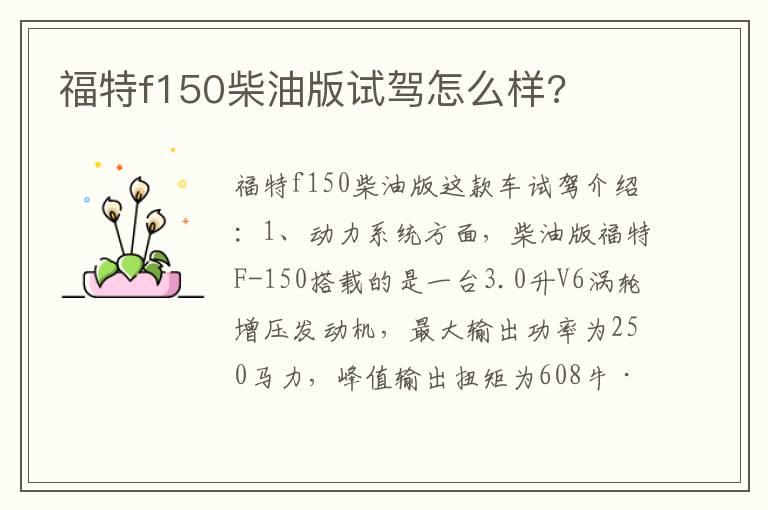 福特f150柴油版试驾怎么样?