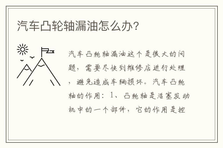 汽车凸轮轴漏油怎么办?