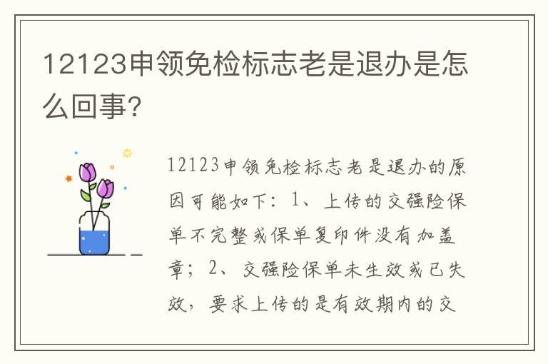 12123申领免检标志老是退办是怎么回事?