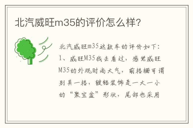 北汽威旺m35的评价怎么样?