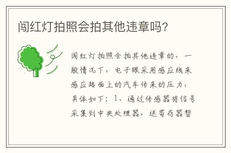 闯红灯拍照会拍其他违章吗?
