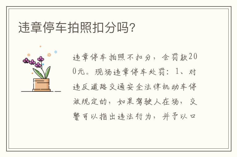 违章停车拍照扣分吗?