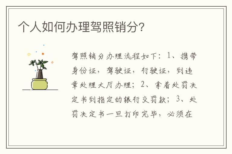 个人如何办理驾照销分?