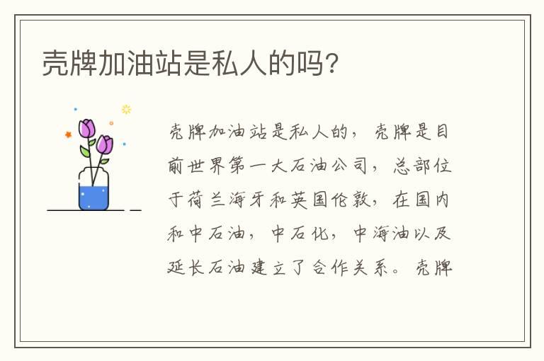 壳牌加油站是私人的吗?