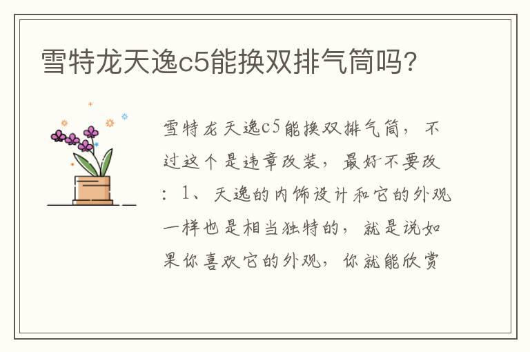 雪特龙天逸c5能换双排气筒吗?