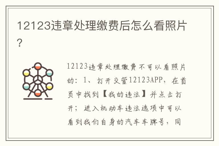 12123违章处理缴费后怎么看照片?