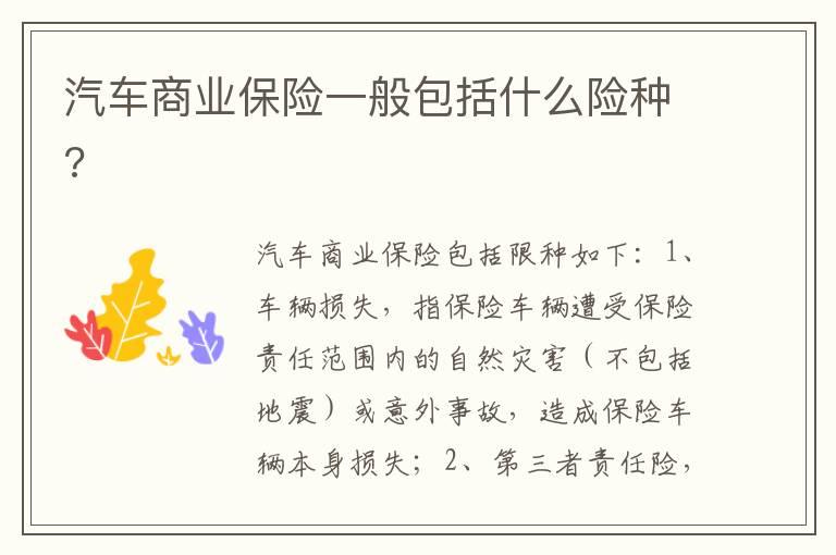 汽车商业保险一般包括什么险种?