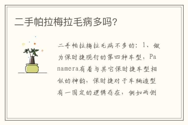 二手帕拉梅拉毛病多吗?