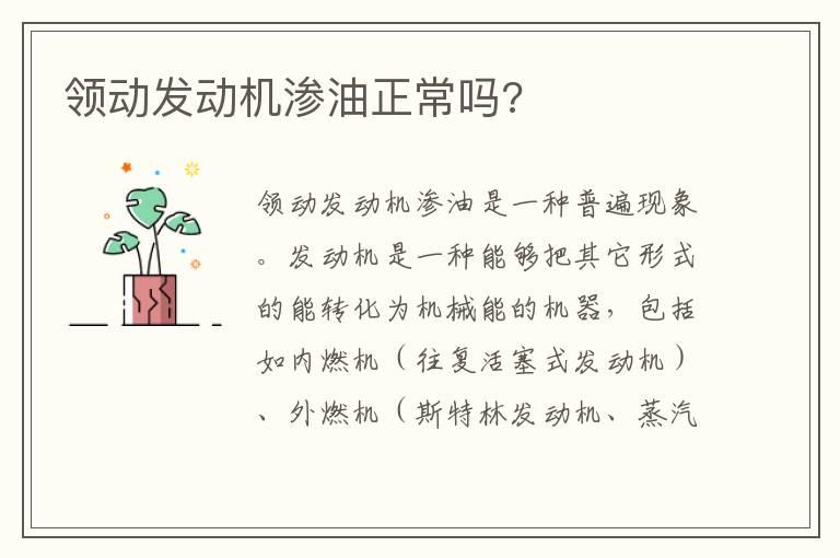 领动发动机渗油正常吗?