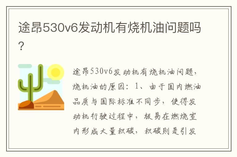 途昂530v6发动机有烧机油问题吗?