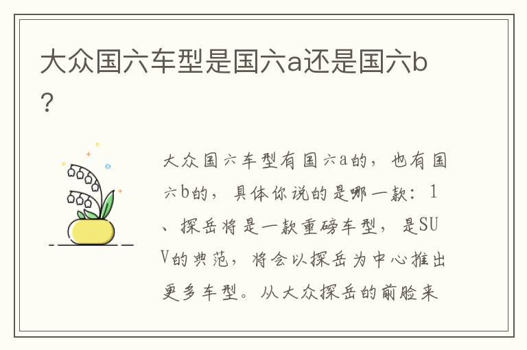 大众国六车型是国六a还是国六b?