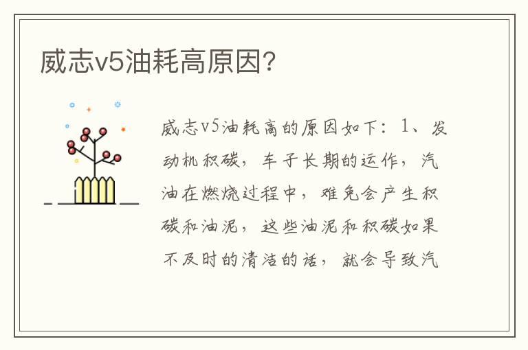 威志v5油耗高原因?