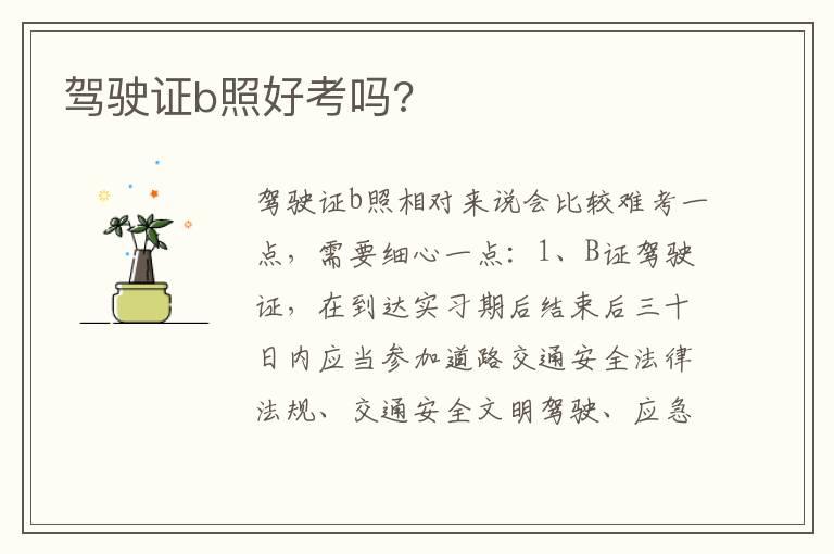 驾驶证b照好考吗?