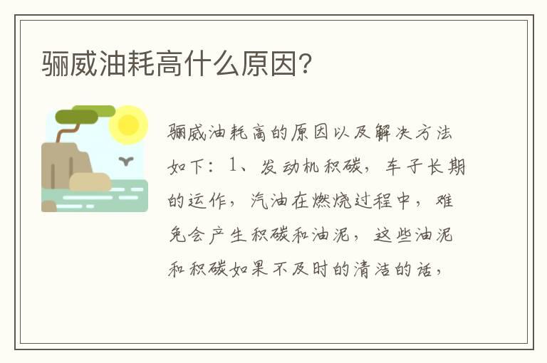 骊威油耗高什么原因?