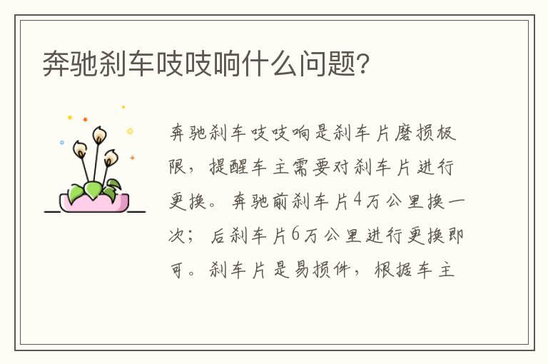 奔驰刹车吱吱响什么问题?