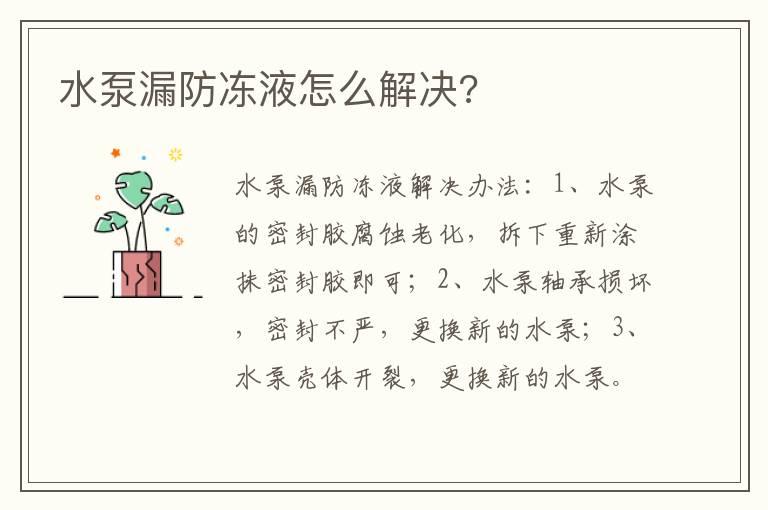 水泵漏防冻液怎么解决?