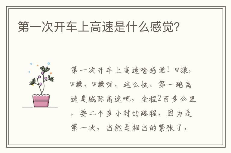 第一次开车上高速是什么感觉？