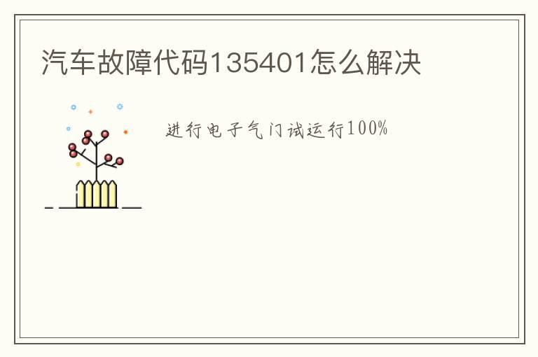 汽车故障代码135401怎么解决