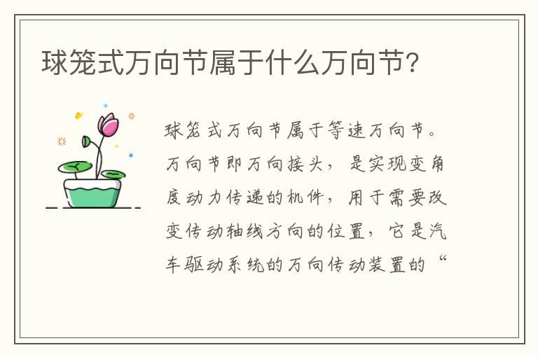 球笼式万向节属于什么万向节?