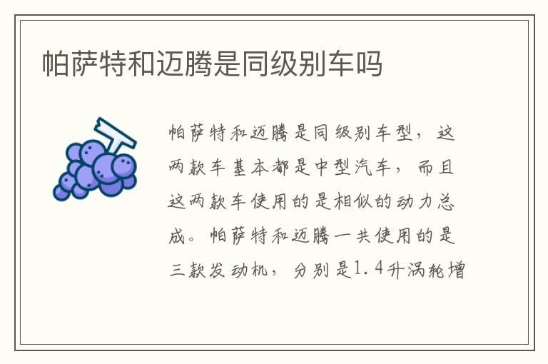 帕萨特和迈腾是同级别车吗