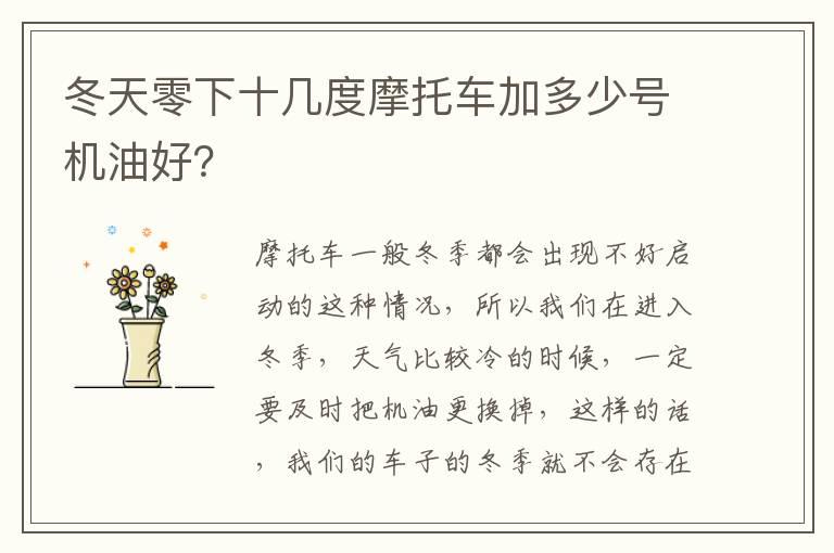 冬天零下十几度摩托车加多少号机油好？