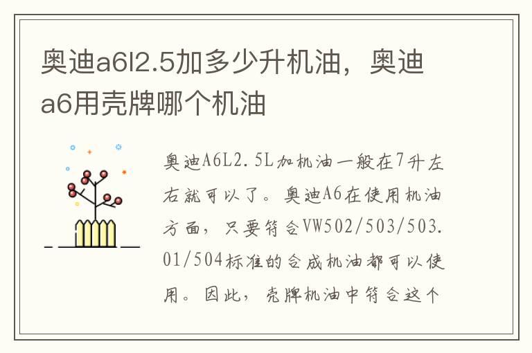 奥迪a6l2.5加多少升机油，奥迪a6用壳牌哪个机油