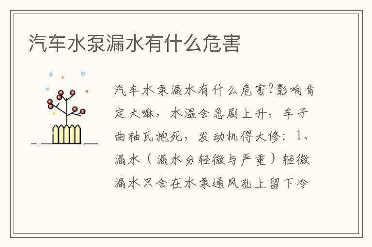 汽车水泵漏水有什么危害