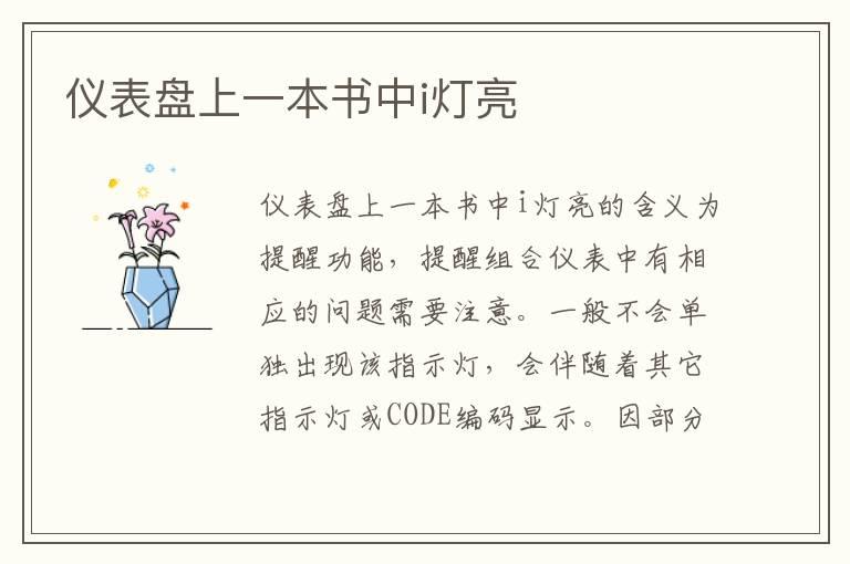 仪表盘上一本书中i灯亮