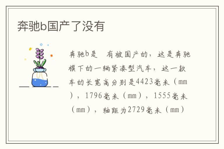 奔驰b国产了没有