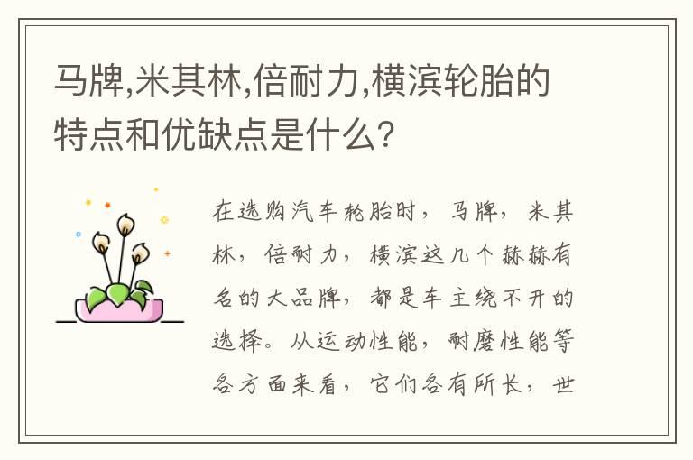 马牌,米其林,倍耐力,横滨轮胎的特点和优缺点是什么？