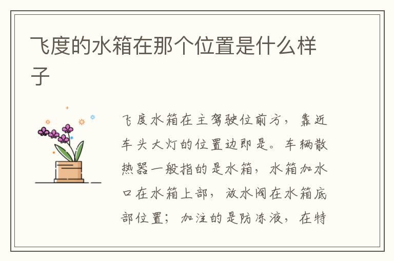 飞度的水箱在那个位置是什么样子
