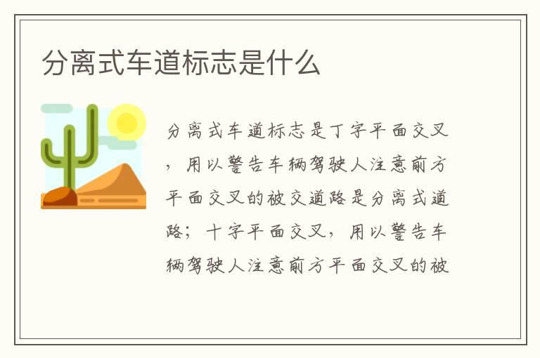 分离式车道标志是什么