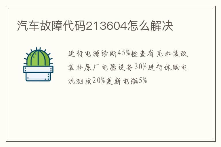 汽车故障代码213604怎么解决