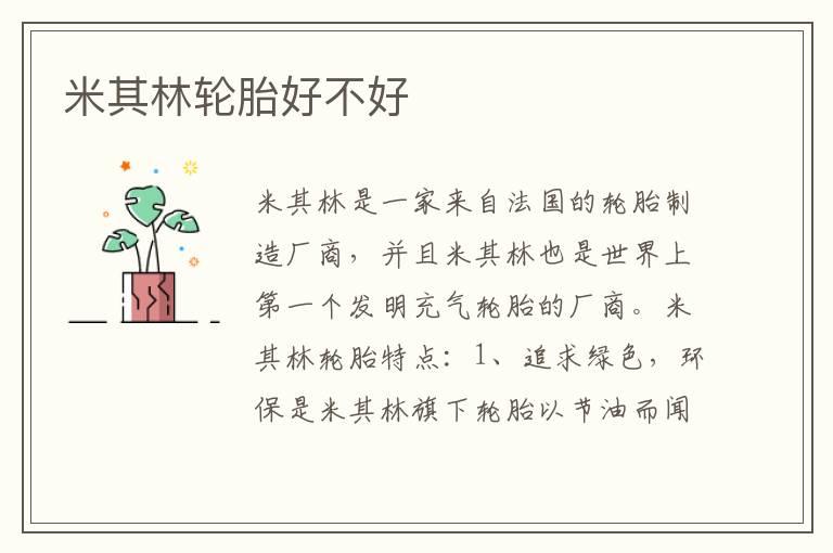 米其林轮胎好不好