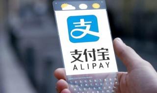 手机上怎么查驾照分 手机上查驾照分的方法